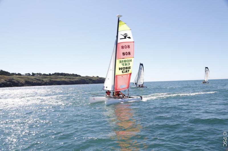 Minicata - en navigation
