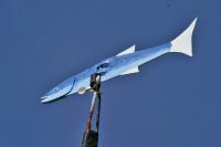 Club Nautique du Rohu Sailing School in Brittany (Morbihan)